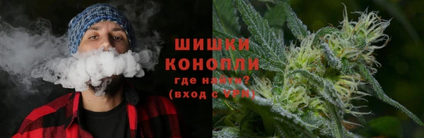 прущие грибы Богородицк