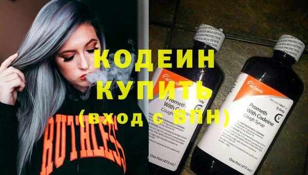 прущие грибы Богородицк