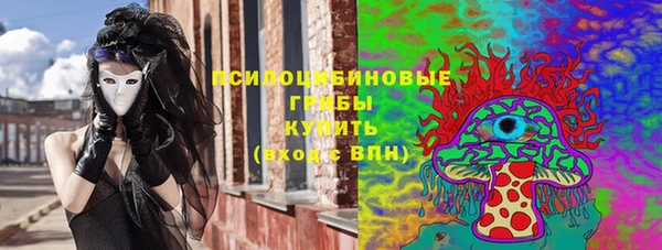 прущие грибы Богородицк