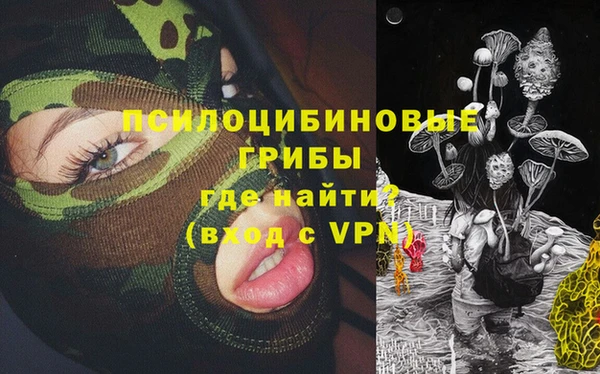 прущие грибы Богородицк
