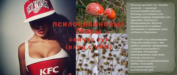 таблы Богданович