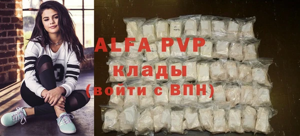 прущие грибы Богородицк