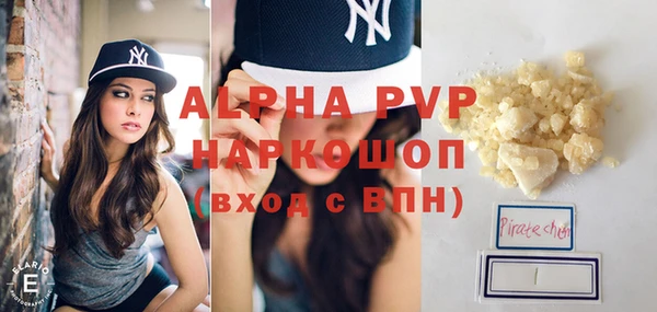 ГАЛЛЮЦИНОГЕННЫЕ ГРИБЫ Бородино